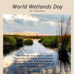 World Wetlands Day