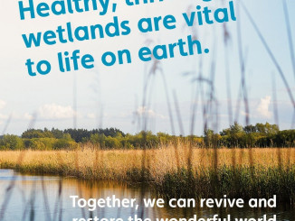 World Wetlands Day2