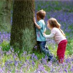 children-in-bluebell-wood2 (1)