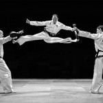 taekwondo_split