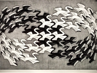 Swans - M.C. Escher