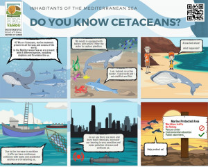 2 DO YOU KNOW CETACEANS