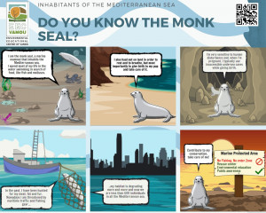 4 DO YOU KNOW THE MONK SEAL
