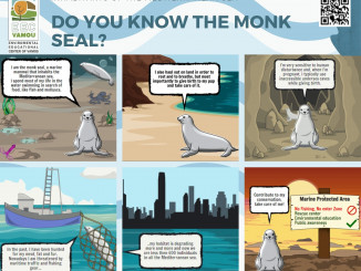 4 DO YOU KNOW THE MONK SEAL