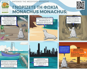 5 ΓΝΩΡΙΖΕΤΕ ΤΗ ΦΩΚΙΑ MONACHUS MONACHUS