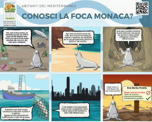 6 CONOSCI LA FOCA MONACA