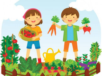 two kids picking vegetables in a vegetable garden