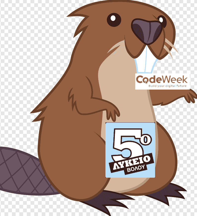 Castor_5g