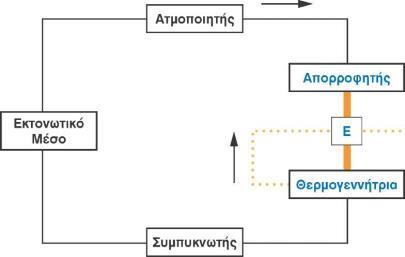 Systima aporofisis