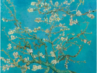 Vincent-van-Gogh-ΑΝΘΙΣΜΕΝΗ-ΑΜΥΓΔΑΛΙΑ