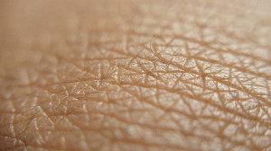 1200px-Human_skin_close-up