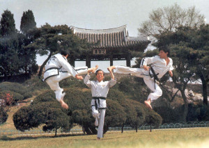 taekwondo-itf-1-choi 2