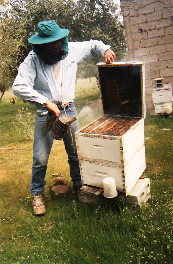 Μελισσοκομία 