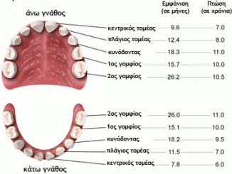 Νεογιλά δόντια – Νεογιλή Οδοντοφυΐα