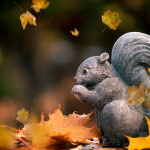 squirrel-monument-7569998_960_720