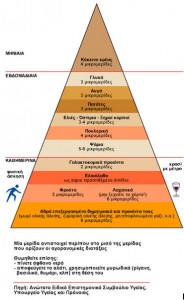 piramida-diatrofhs