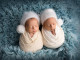 tiny-newborn-twin-boys-white-cocoons-blue-background-white-caps-studio-professional-photography-newborn-twins-high-quality-photo_447871-1518
